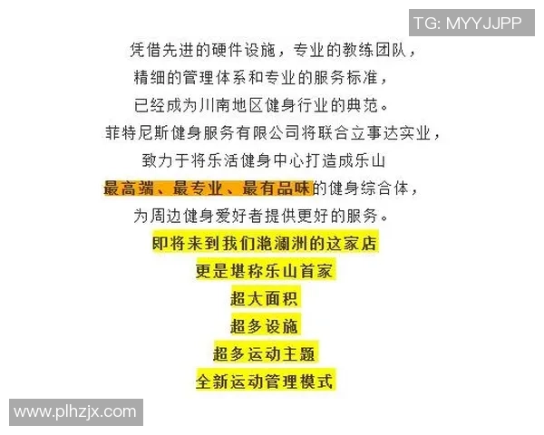 北京羽毛球队的战术分析与控制能力的得失探讨