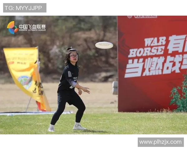 北京飞盘队运营分析：成功经验与面临挑战的全面探讨