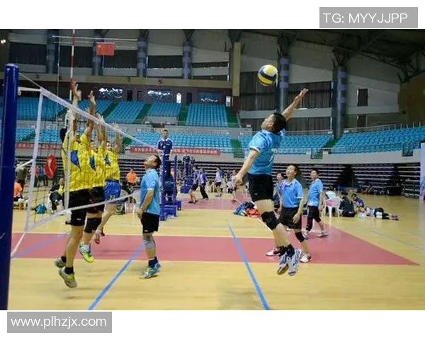 对话周芳：回顾排球生涯中的挑战与成就分享