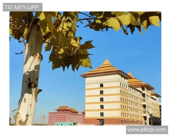 杭州排球队崛起之路:从默默无闻到奥运舞台的辉煌历程 杭州排球队崛起之路:从默默无闻到奥运舞台的辉煌历程